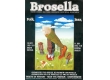 Brosella 1993.jpg